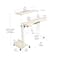 Mind Reader Woodland Collection White Adjustable Mobile Sit & Stand Laptop Desk